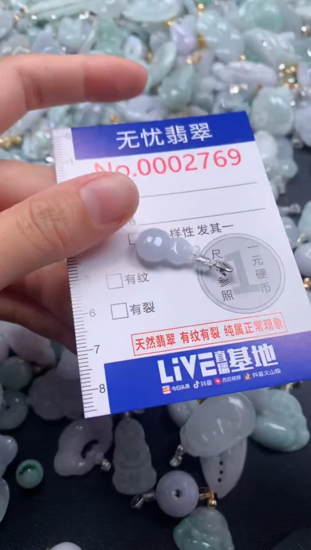 颈饰未镶嵌翡翠2769