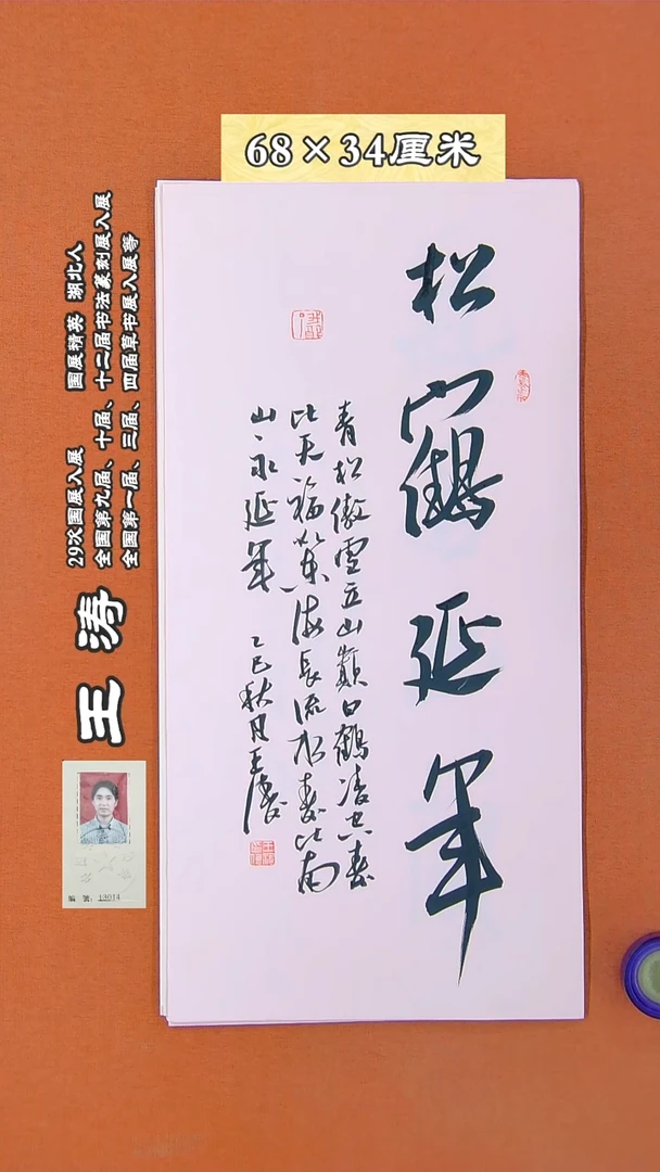 书法117R王涛书法作品