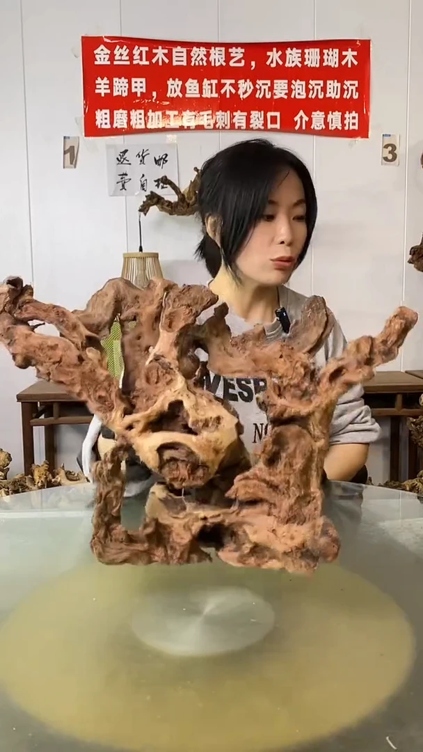 香榧木北****卉金丝红木 羊蹄甲