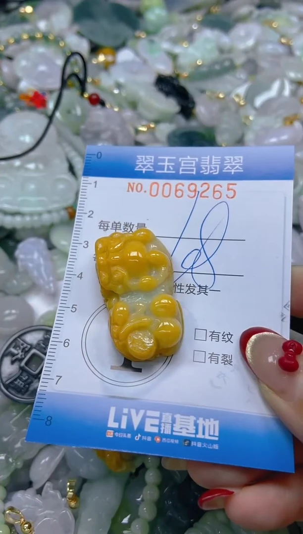【闪购商品】翡翠颈饰未镶嵌闪购0069265