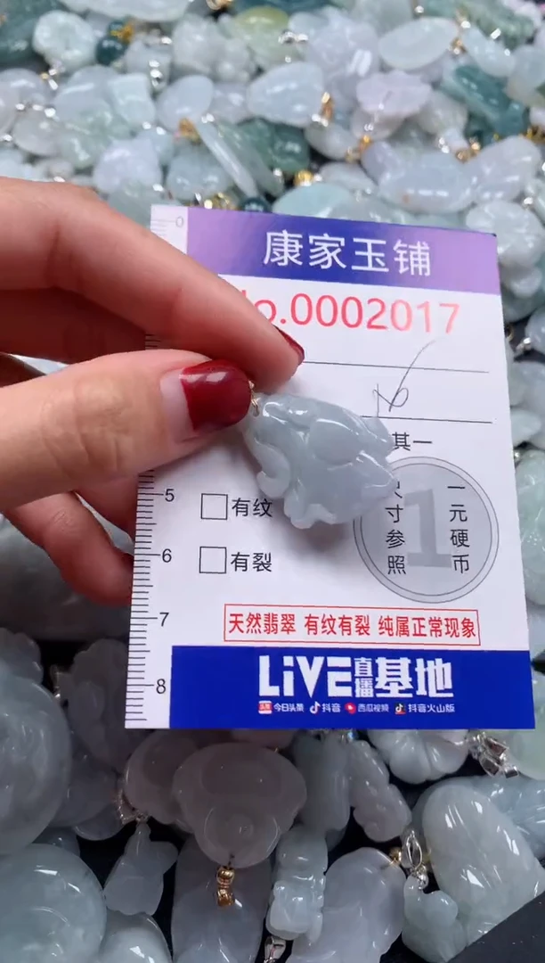 颈饰未镶嵌翡翠2017