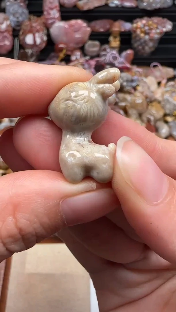 【闪购商品】硅化珊瑚（珊瑚玉）颈饰未镶嵌168