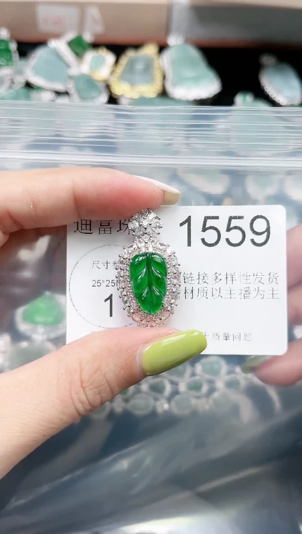 【闪购商品】翡翠颈饰未镶嵌赠皮绳1559