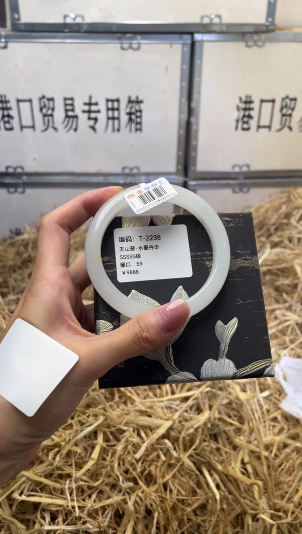 未镶嵌手镯石英质玉T2238