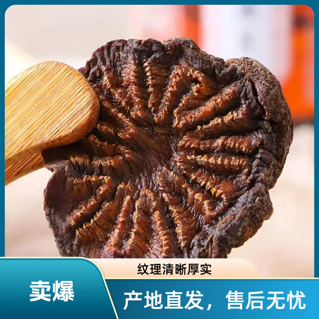 【新疆肉苁蓉切片】新疆肉苁蓉切片油干片泡水泡酒