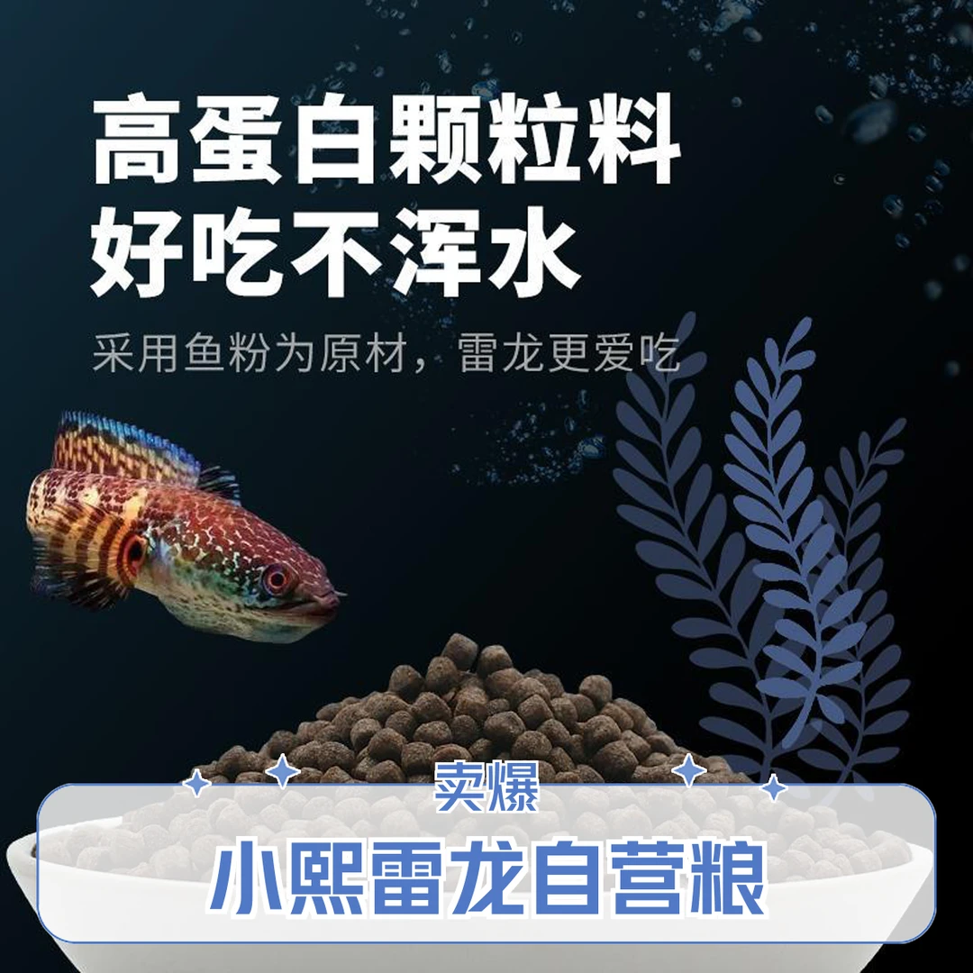 雷龙观赏鱼专用饲料【小熙雷龙  自家鱼缸专用KJ粮饲料 】