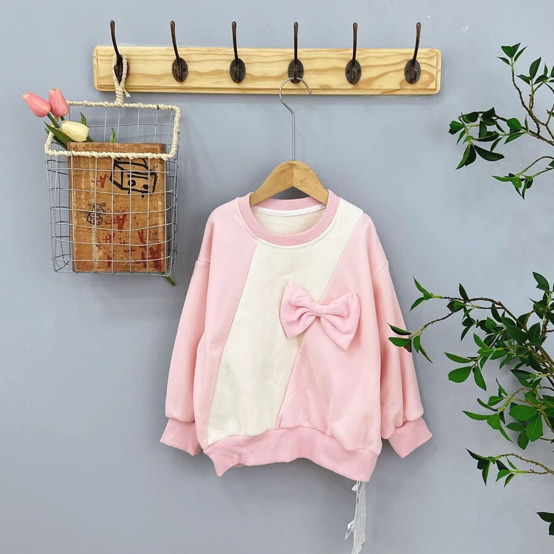 299高端专享秋冬季加绒卫衣粉色