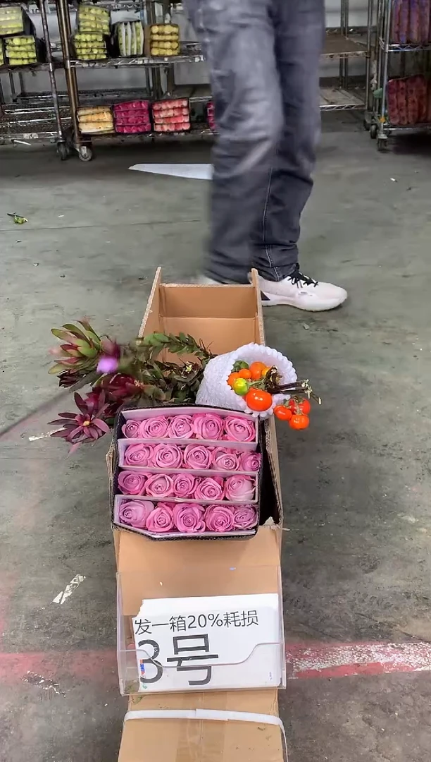 3号♥中通含20%耗损发一箱