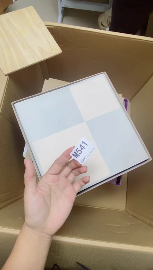 瓷片一***记M541默认微瑕，谨慎参拍