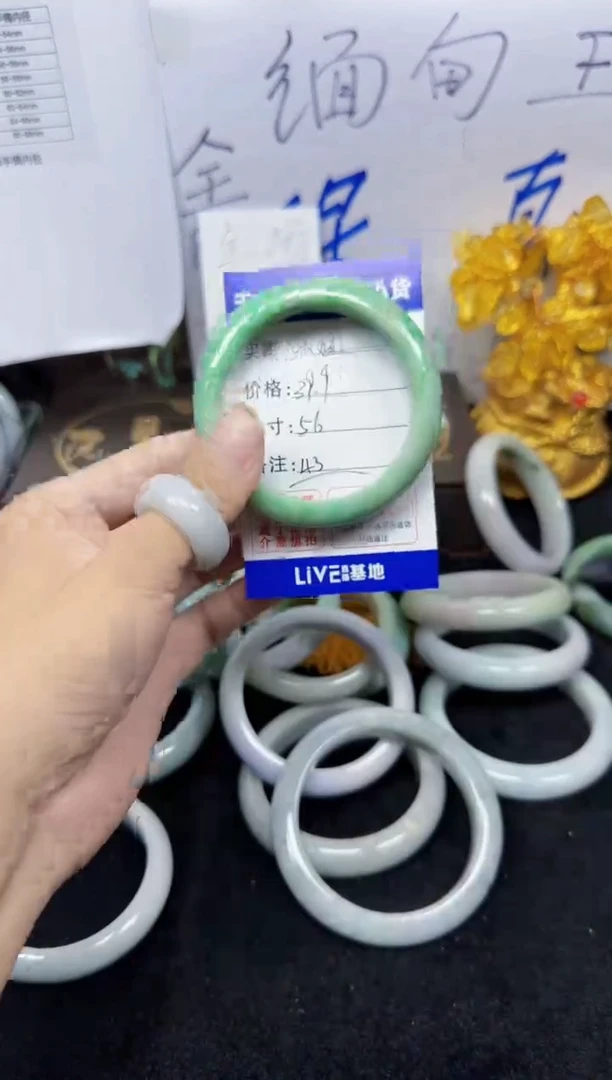 未镶嵌手镯翡翠L****Ⱄ42