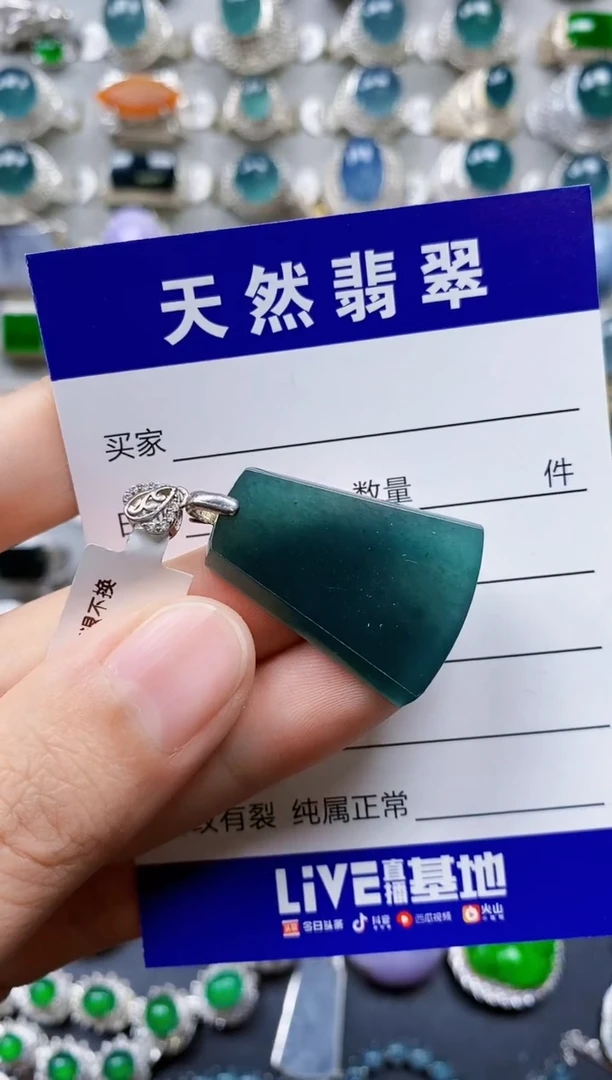 【闪购商品】翡翠颈饰银S925镶嵌0065