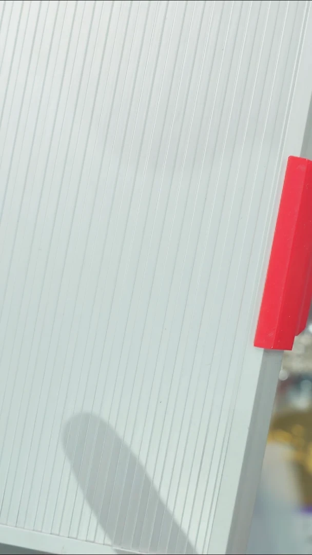 【闪购商品】星月菩提吊坠净庄阁文玩1