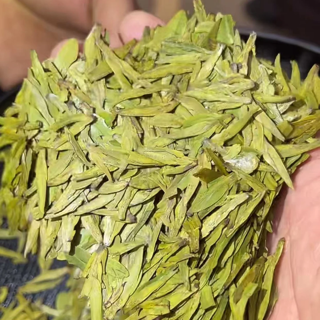 明前头采 龙3扁茶 2025新茶