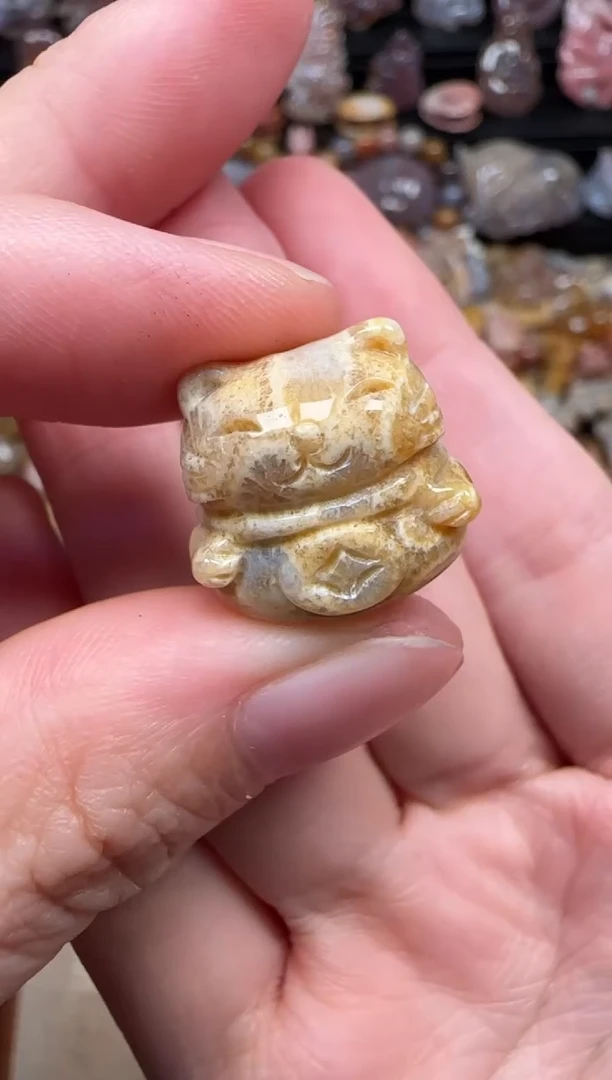 颈饰未镶嵌硅化珊瑚（珊瑚玉）708