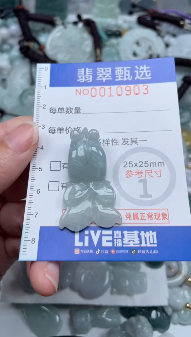 颈饰未镶嵌翡翠10903