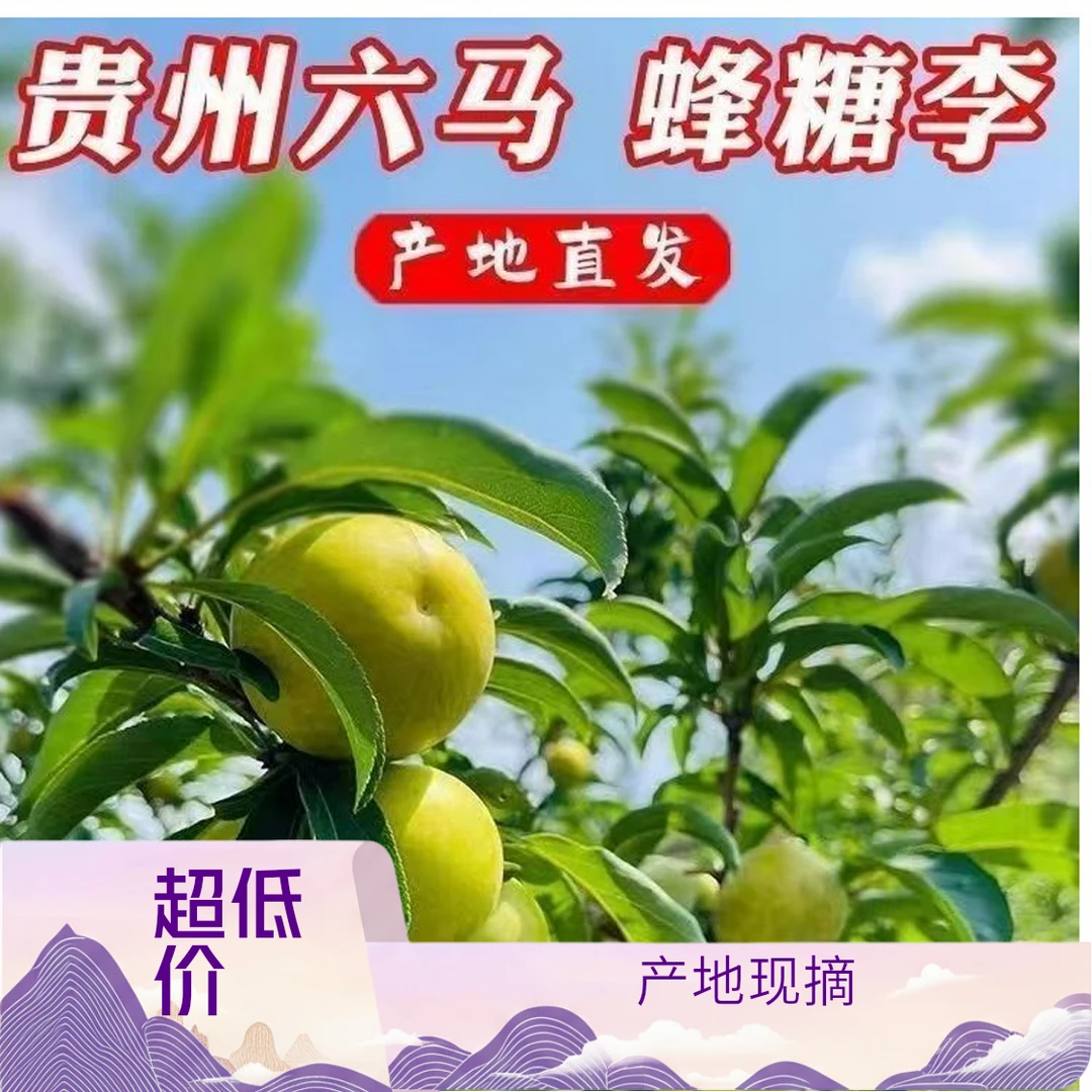 贵州镇宁应季新鲜脆甜孕妇可食六马贵州六马李子贵州蜂糖李
