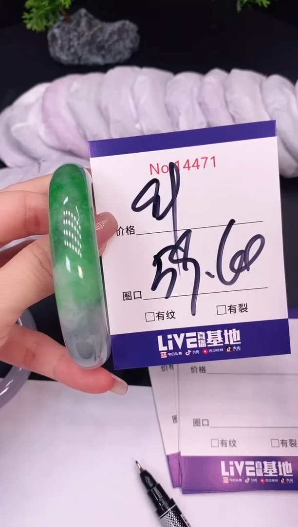 未镶嵌手镯翡翠14471