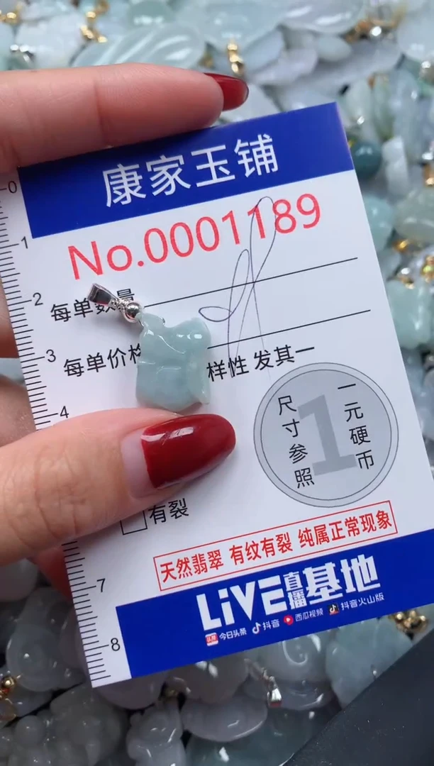 颈饰未镶嵌翡翠1189