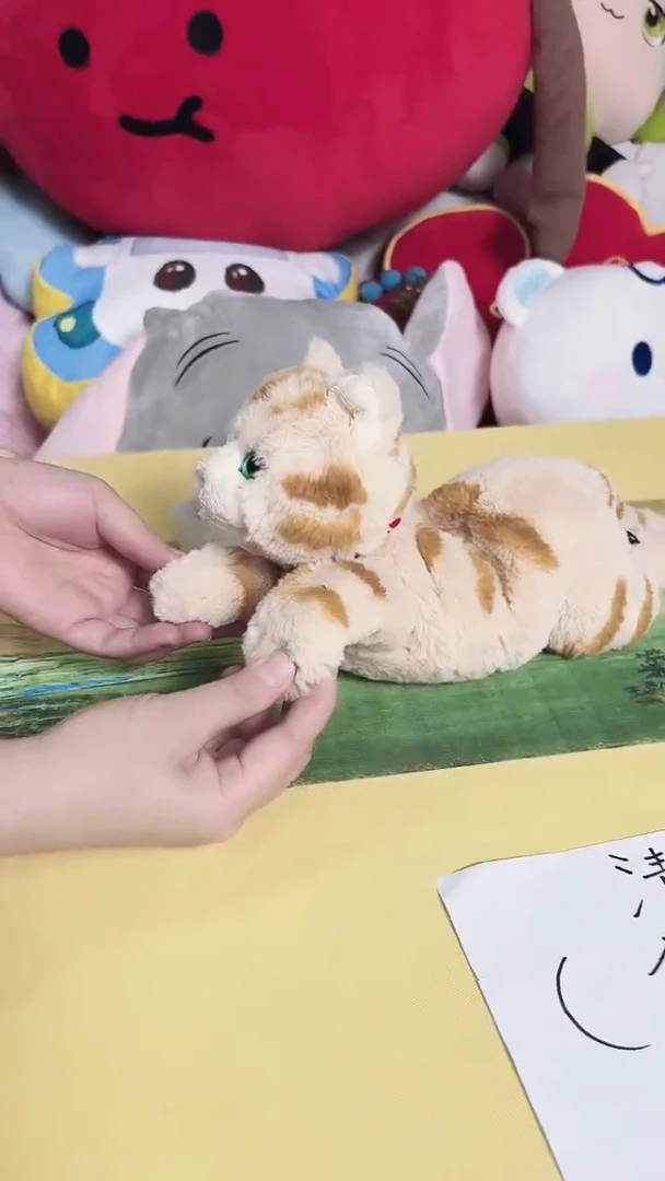 毛绒玩具清样 小猫咪公仔