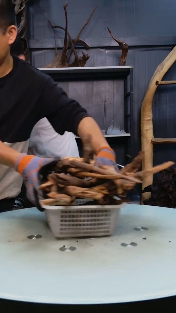 木随机发货一筐枝条4斤29.9