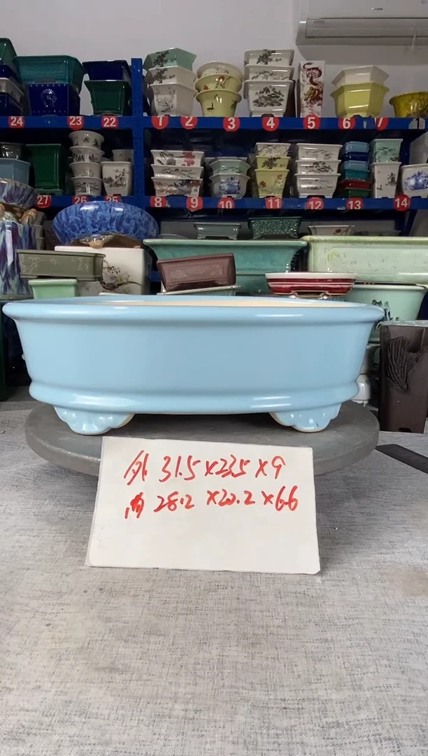 12431一只大椭圆