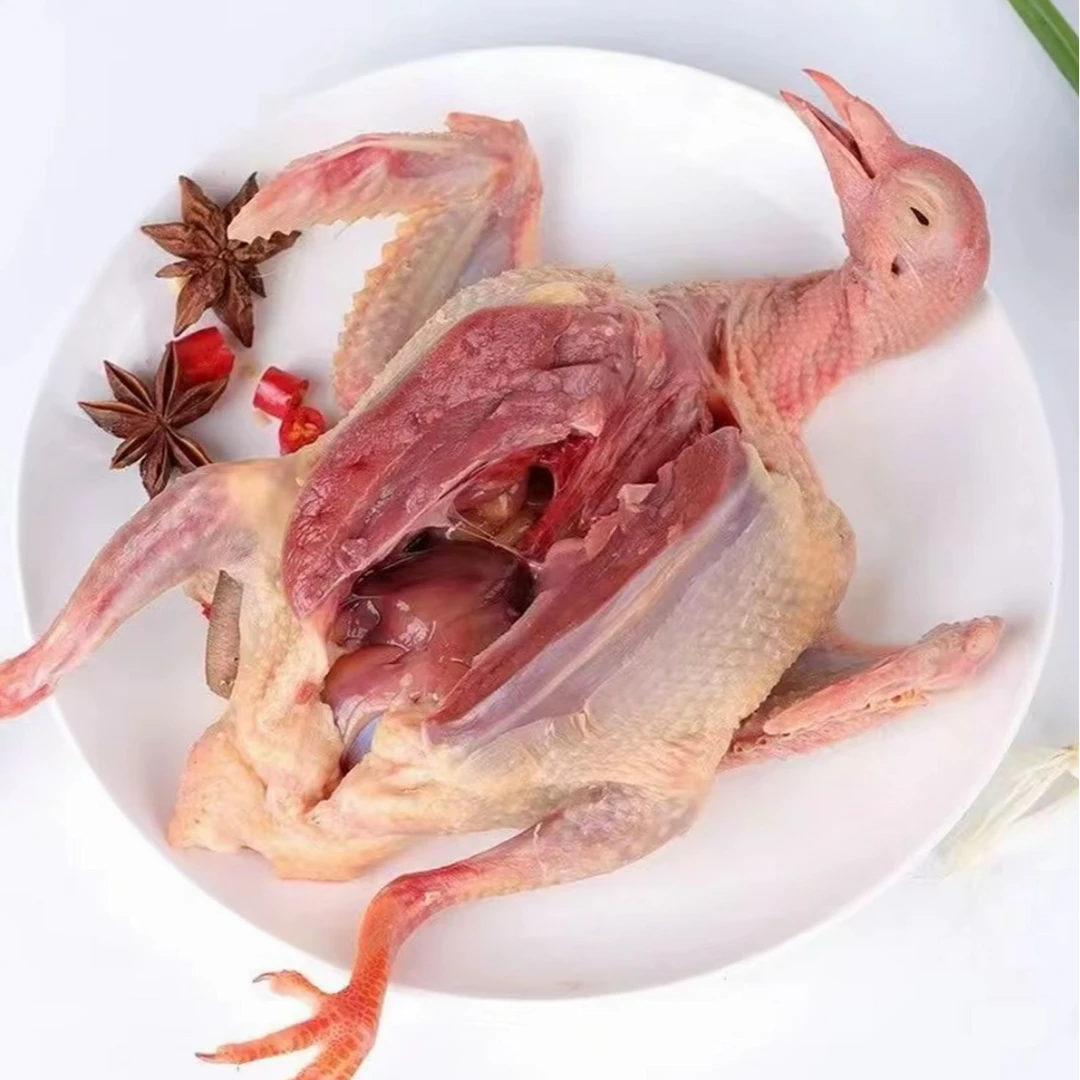 大麦1 【买5送1】农家散养土鸽 急冻锁鲜 顺丰包邮