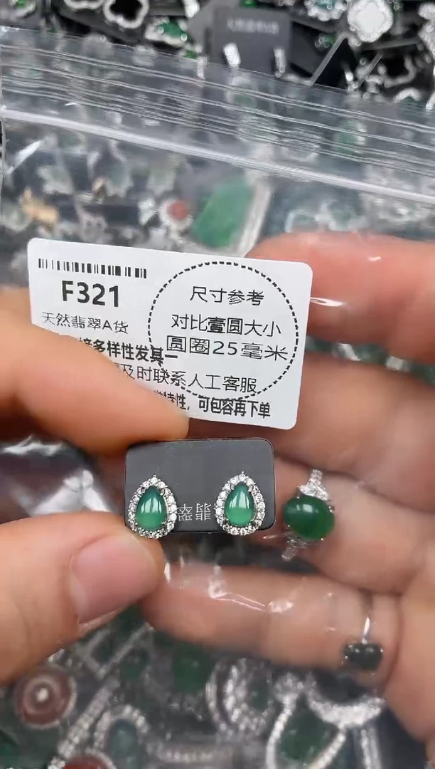 颈饰未镶嵌翡翠F321耳钉