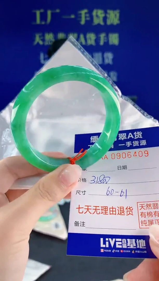未镶嵌手镯翡翠09