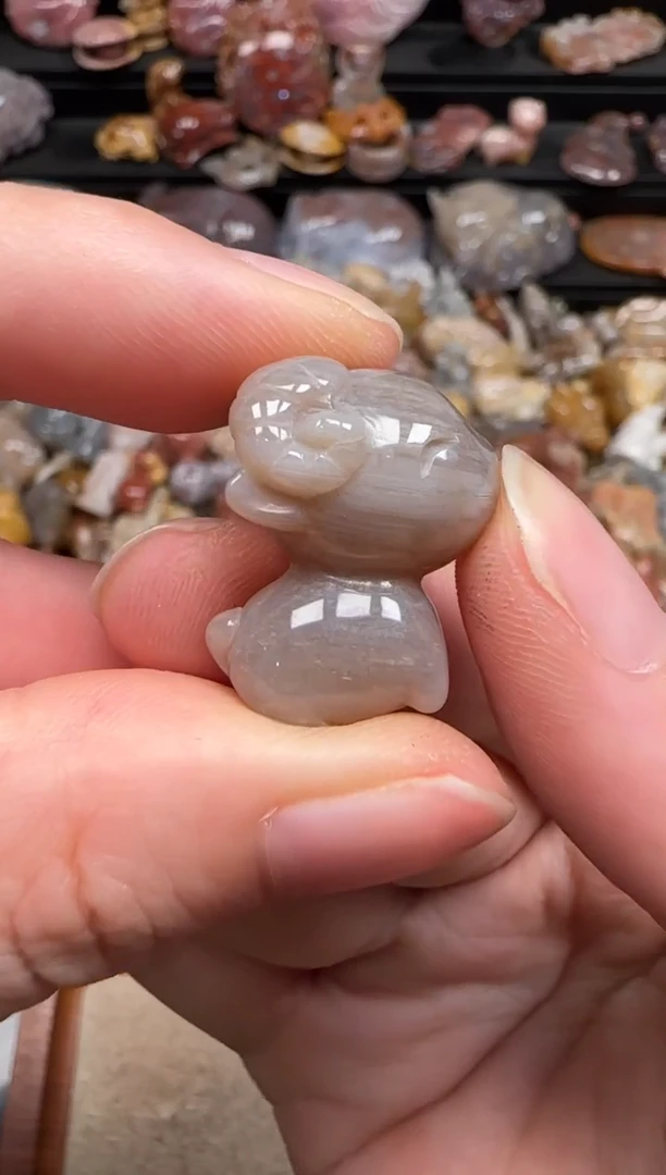 硅化珊瑚（珊瑚玉）未镶嵌颈饰494