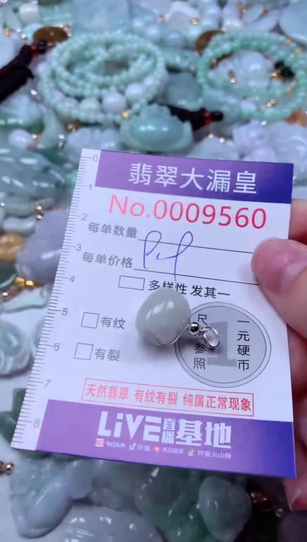 吊坠(不含链)未镶嵌翡翠9560