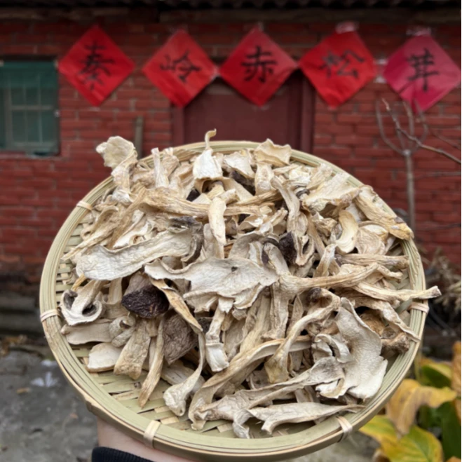 甘肃秦岭赤松茸冬日火锅深山干货煲汤炖鸡袋装20克*8袋