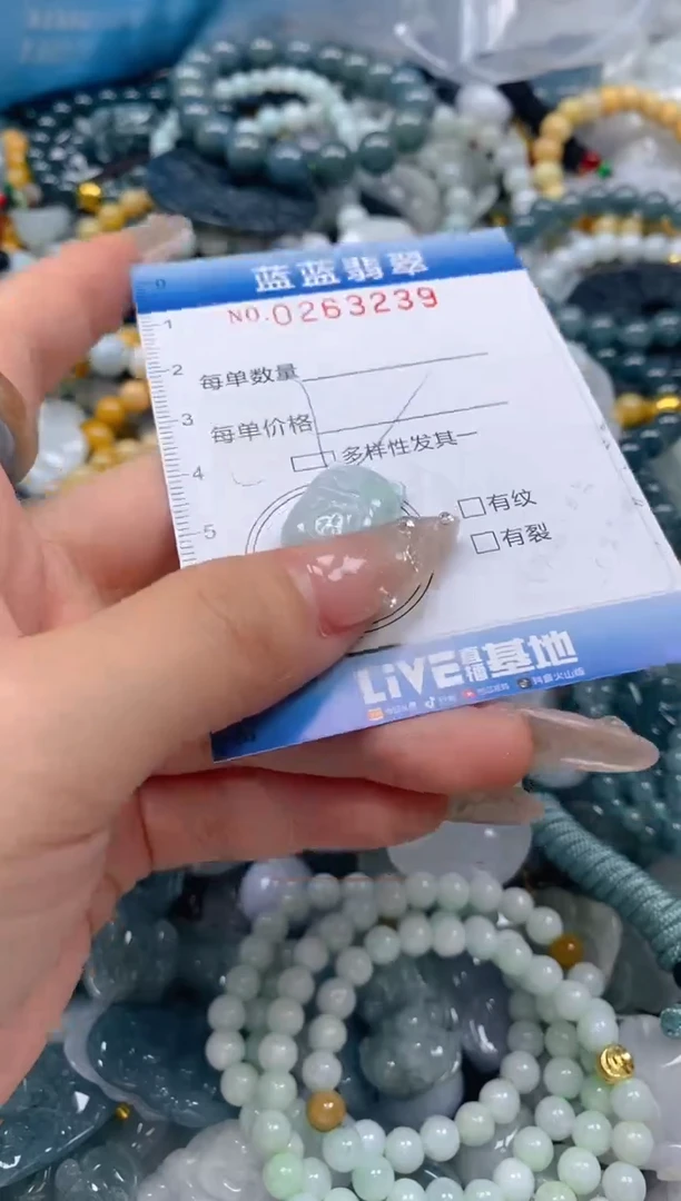 翡翠未镶嵌颈饰闪购0263239