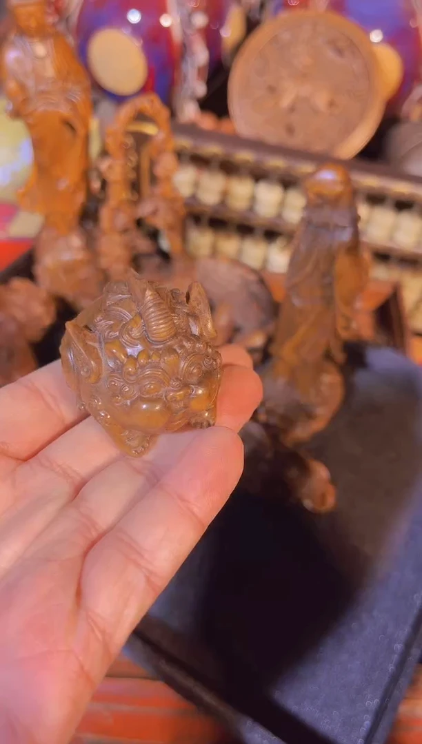 黄杨木1111111111111111111