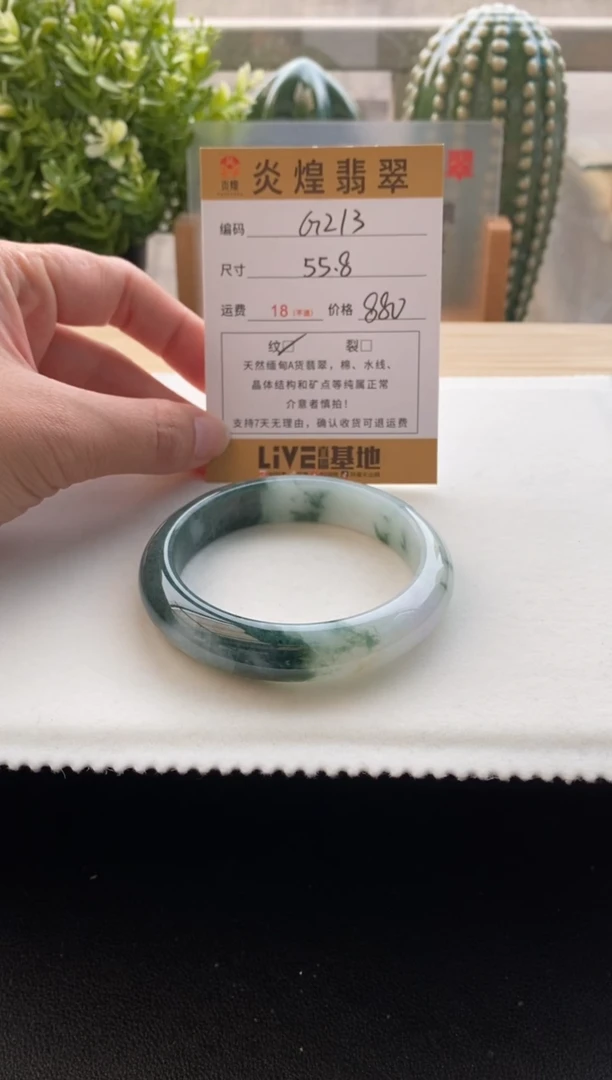 未镶嵌手镯翡翠56.2圈口编码G213