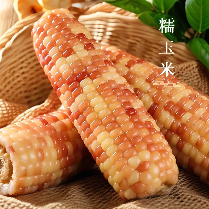 花糯玉米1斤装（新疆西藏内蒙古不发）