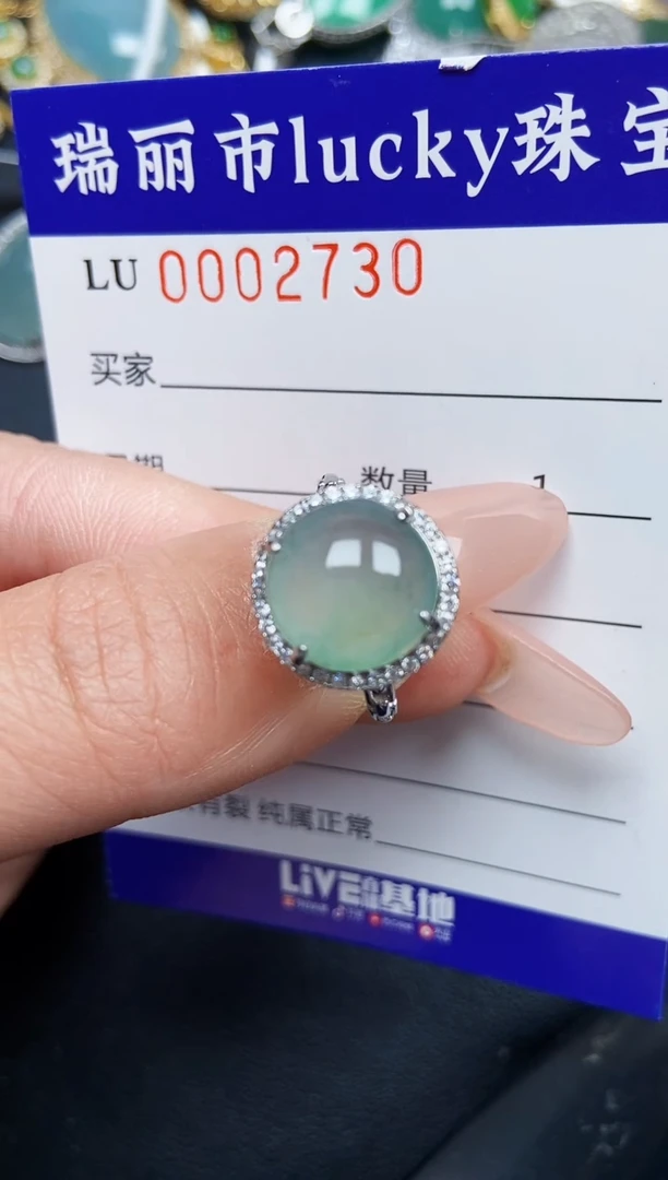 【闪购商品】翡翠颈饰银S925镶嵌2730