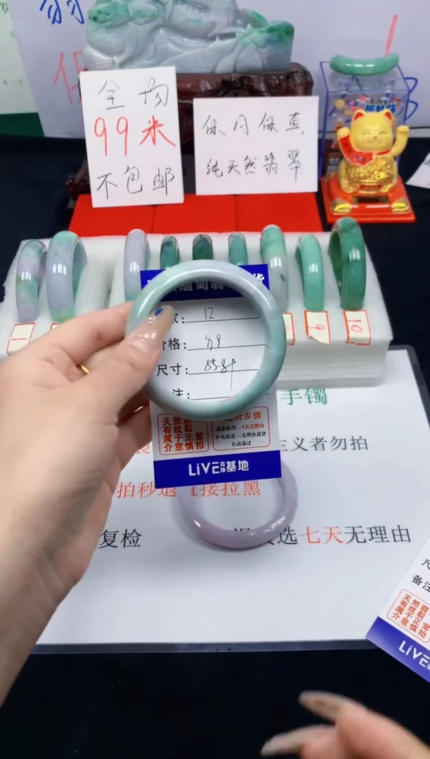 未镶嵌手镯翡翠12