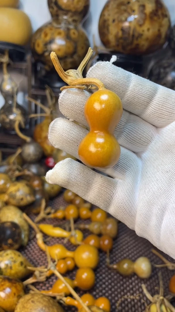 【闪购商品】葫芦葫芦葫芦葫芦