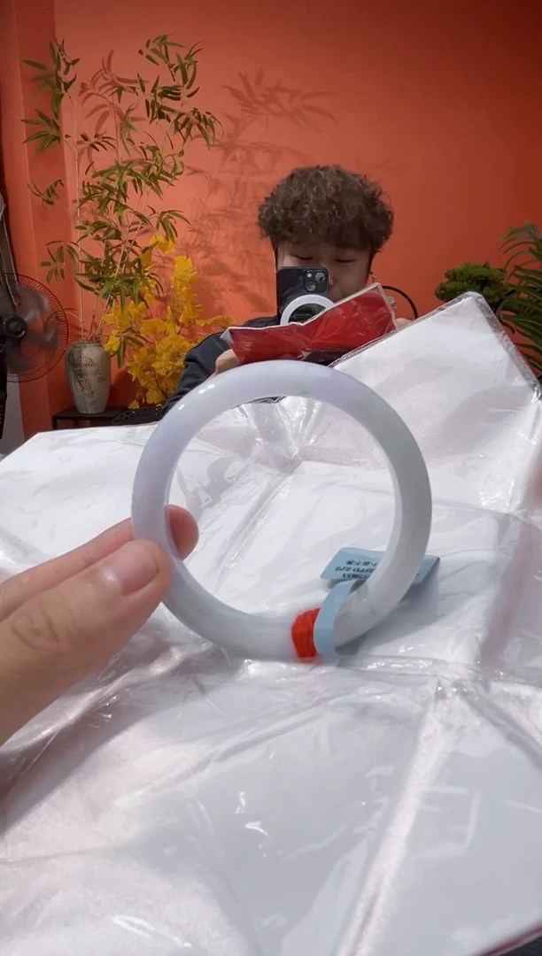 未镶嵌手镯翡翠6