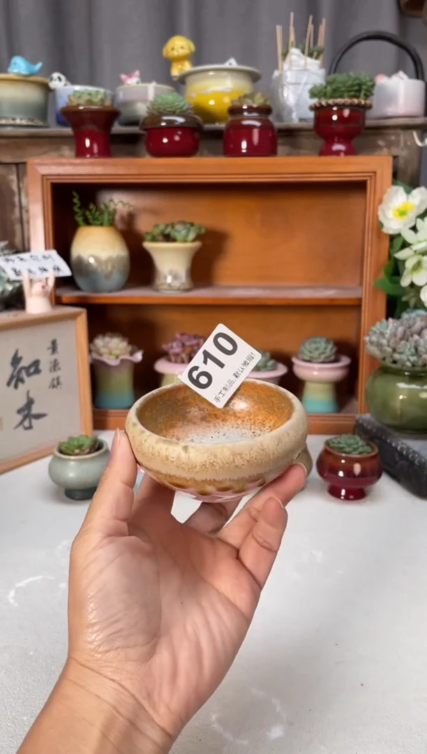 瓷片610小芳直播编号