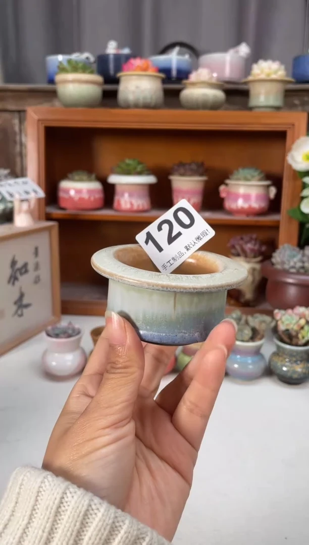 瓷片120知木小芳花盆编号