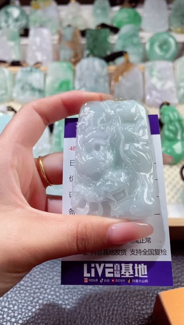 翡翠未镶嵌颈饰0000012345