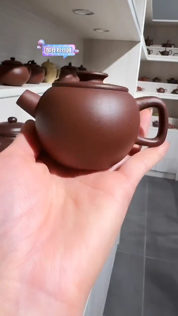 茶壶紫砂红皮龙巨轮130cc左右