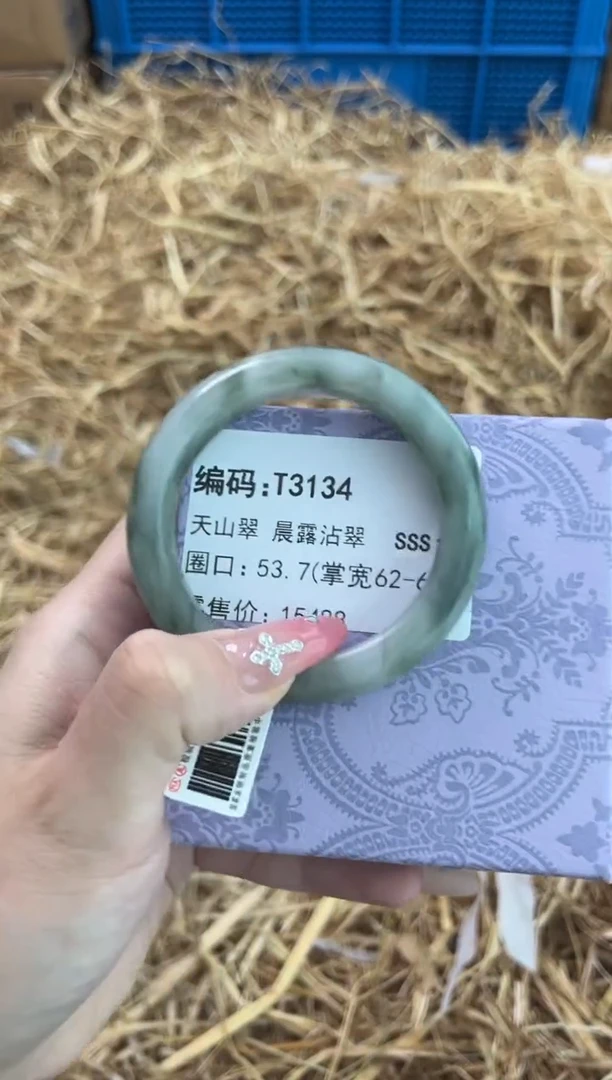 未镶嵌手镯石英质玉T3134