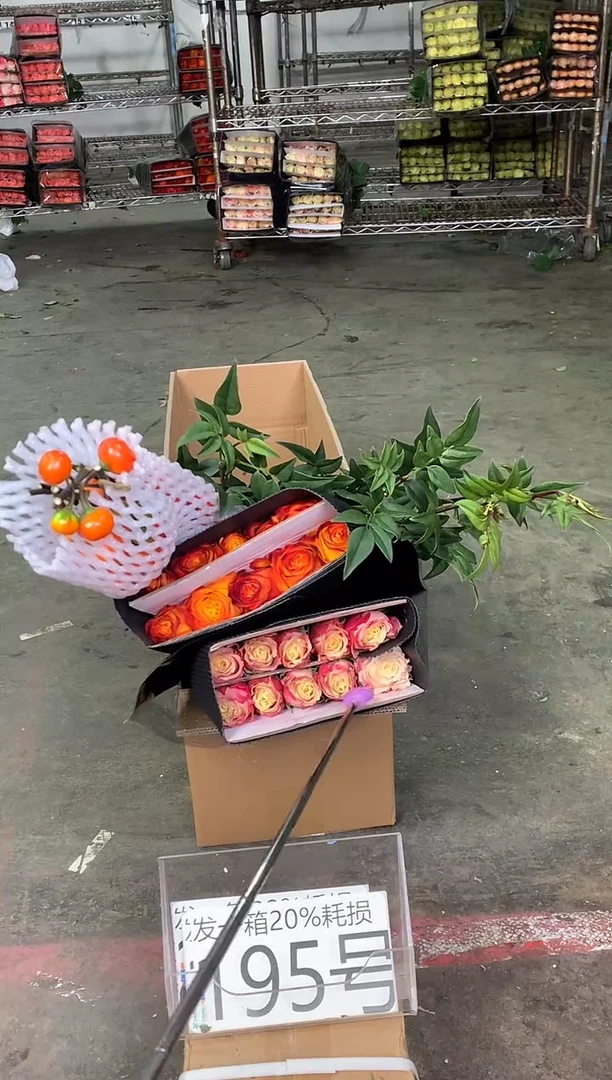 195号♥中通含20%耗损发一箱