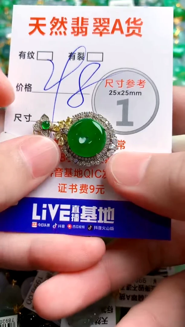 翡翠未镶嵌颈饰0080245272