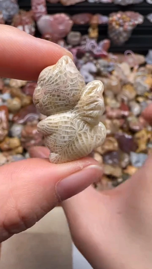 【闪购商品】硅化珊瑚（珊瑚玉）颈饰未镶嵌152