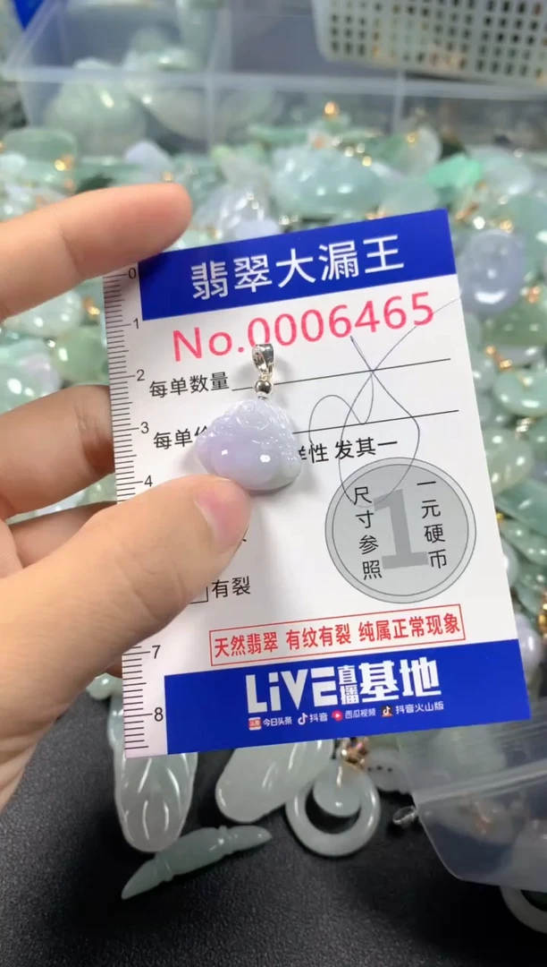 颈饰未镶嵌翡翠6465