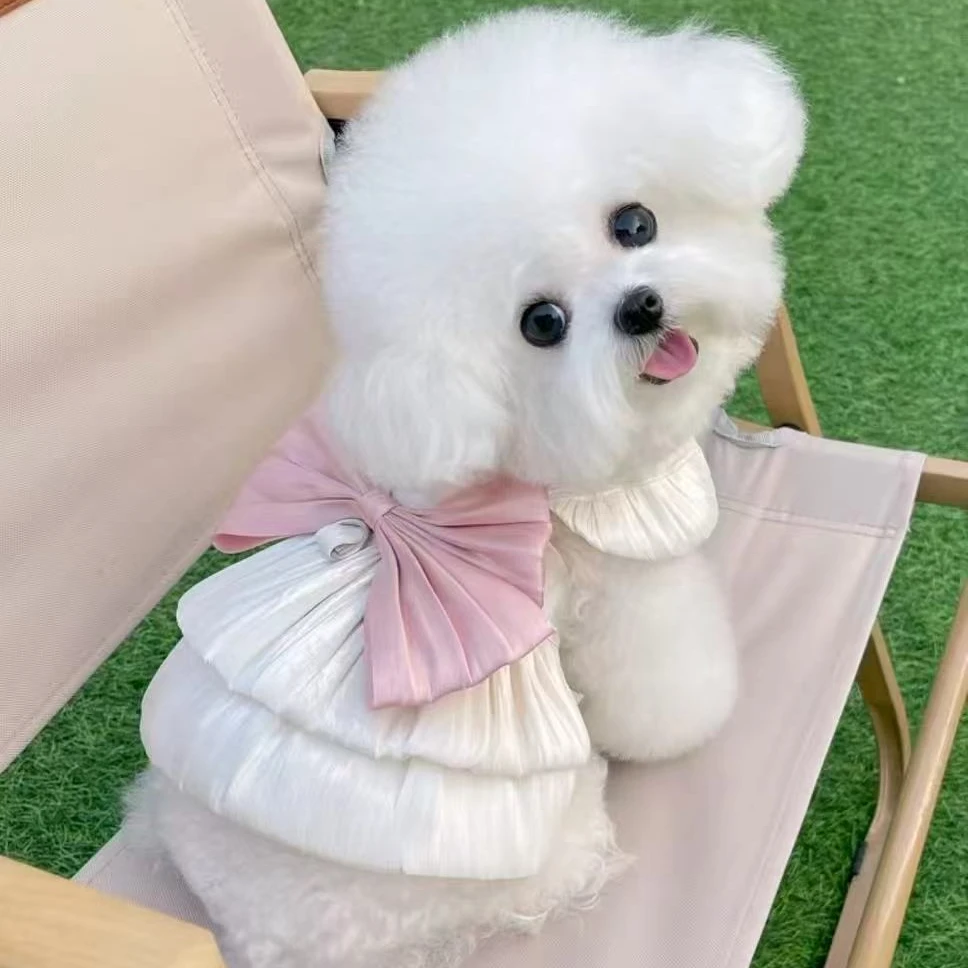 自选宠物博美比熊泰迪 带小衣服TT1