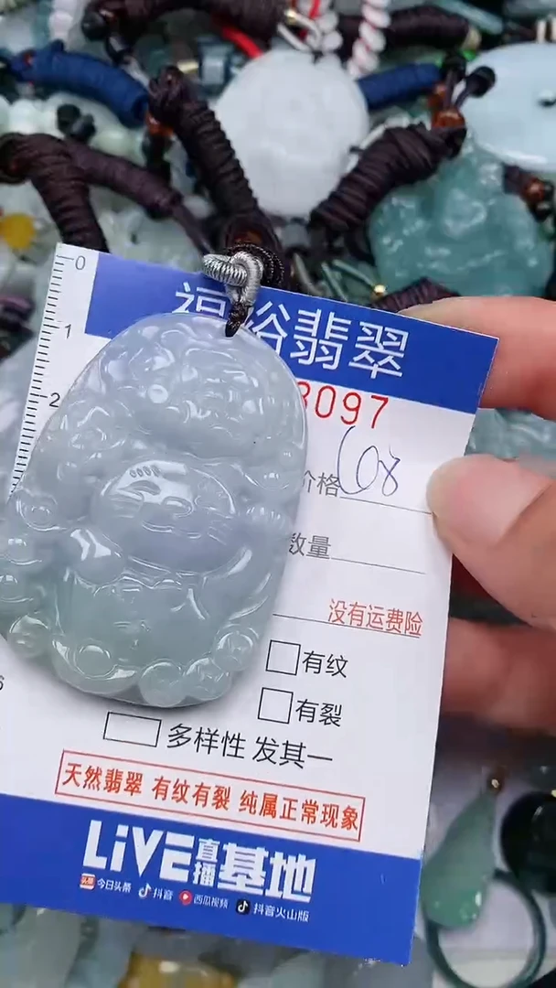 翡翠未镶嵌颈饰...0003097